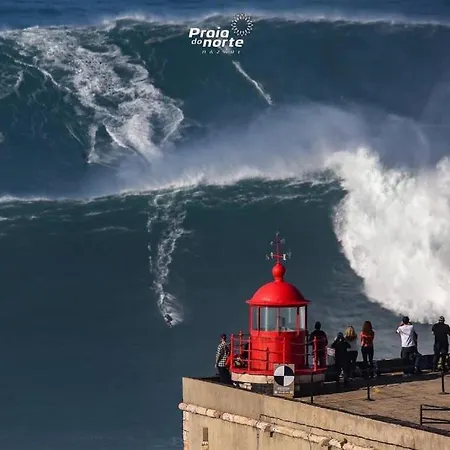 Alojamento Rosa Nazaré Exterior foto